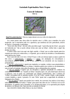 CANDOMBLE-43-Ervas (1).pdf